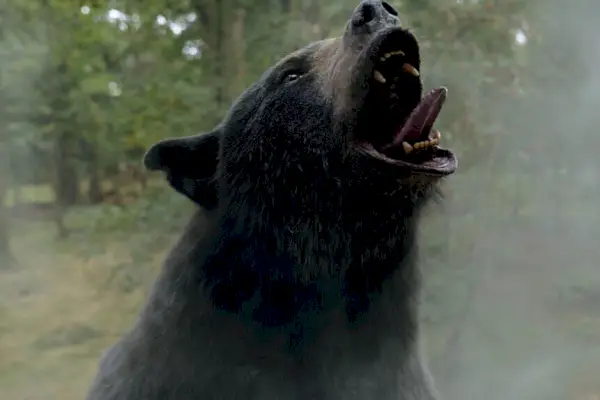 L'ours dans Cocaine Bear (2023)