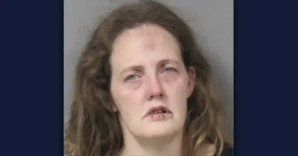 Judith Maria Sobol via Berrien County Sheriff