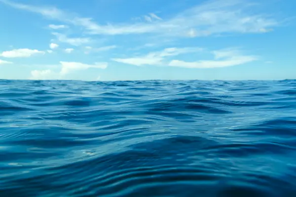 Älskade skoladministratör hittades död under dykresa, men var det en olycka eller mord?