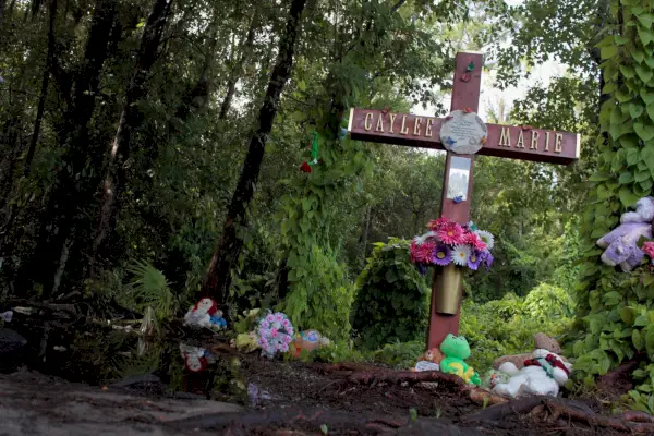 Alles, was Sie darüber wissen müssen, wie Caylee Anthony tot im Wald aufgefunden wurde