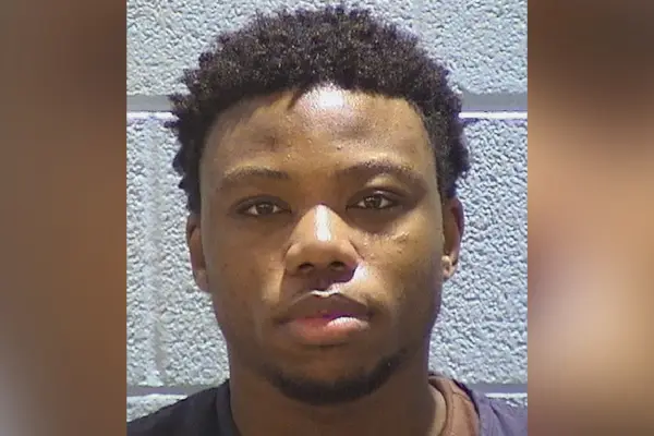 Полиция идентифицировала подозреваемого в убийстве отца из Иллинойса и двух его маленьких сыновей