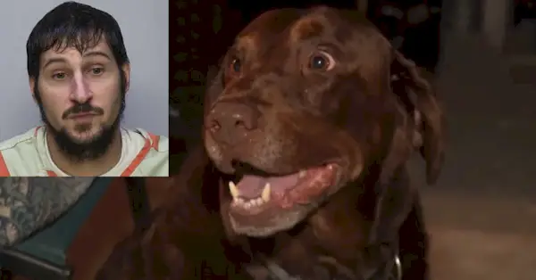 強姦殺人の容疑者マイケル・チャールズ・バーハムは逃走中だったが、犬のタッカーが彼を発見した。 *(バーハムの顔写真: ウォーレン郡; タッカーのスクリーンショット: WIVB)