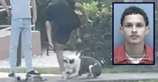 Bekhems Makleods nosaukts par suņu stostītāju.