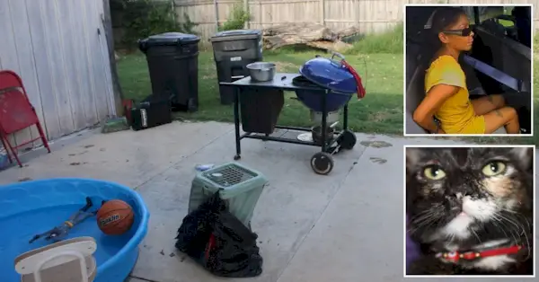 Veronica Carrillo, mačka, ktorú ona