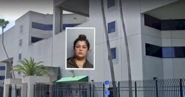 데이지 링크 임신