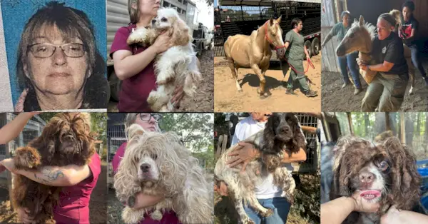 Kvinne i Alabama er siktet for dyremishandling