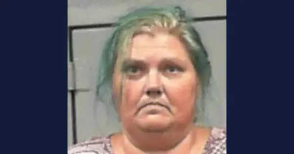 mezi létem 2022 a listopadem 2022,