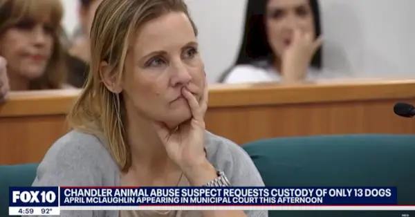 April McLaughlino klausymas