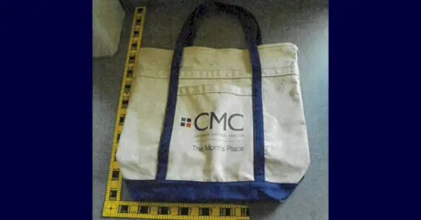 הסגנון והגודל של תיק להריון המשמש להובלת הרמוני מונטגומרי