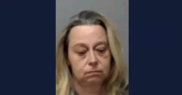 רבקה לין הנלי