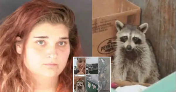 אלישיה קינצ'לו, הדביבון ששרפה בחיים, וצילומי מסך מהסרטון שפרסמה לסנאפצ'ט (שריף מחוז סרסוטה