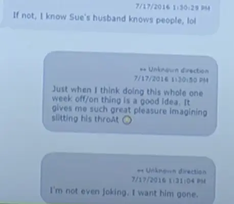 Shanna Gardner og Kim Jensen tekstutstilling 2016 (skjermbilde fra YouTube/First Coast News)