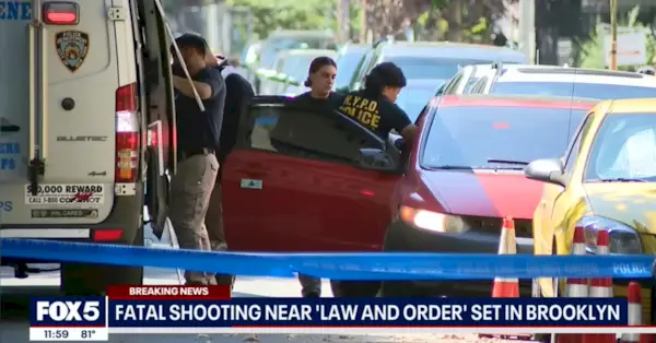 מישהו ירה בחוק