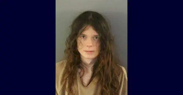 Connor Crumrine esfaqueou fatalmente sua mãe, Jennifer Crumrine, disseram os deputados. (Foto policial: Xerife do condado de Charlotte