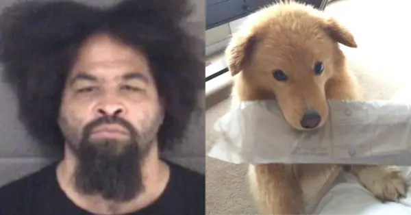 James Wesley Henry (Departamento de Polícia de Ashville); Beignet, de 11 anos (captura de tela do WLOS)