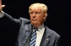 image-via-gino-santa-maria-and-shutterstock