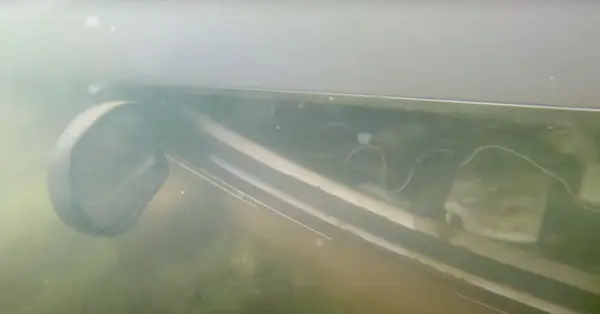 Et billede viser Kiely Rodni